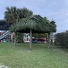 Rapid Tiki Huts