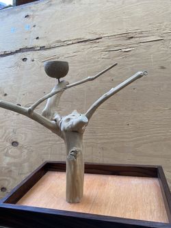 A&E Cage Company Java Wood Table Top Playstand