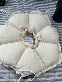 Cat cone collar