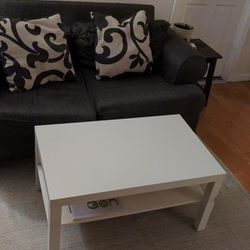 Loveseat and Coffeetable