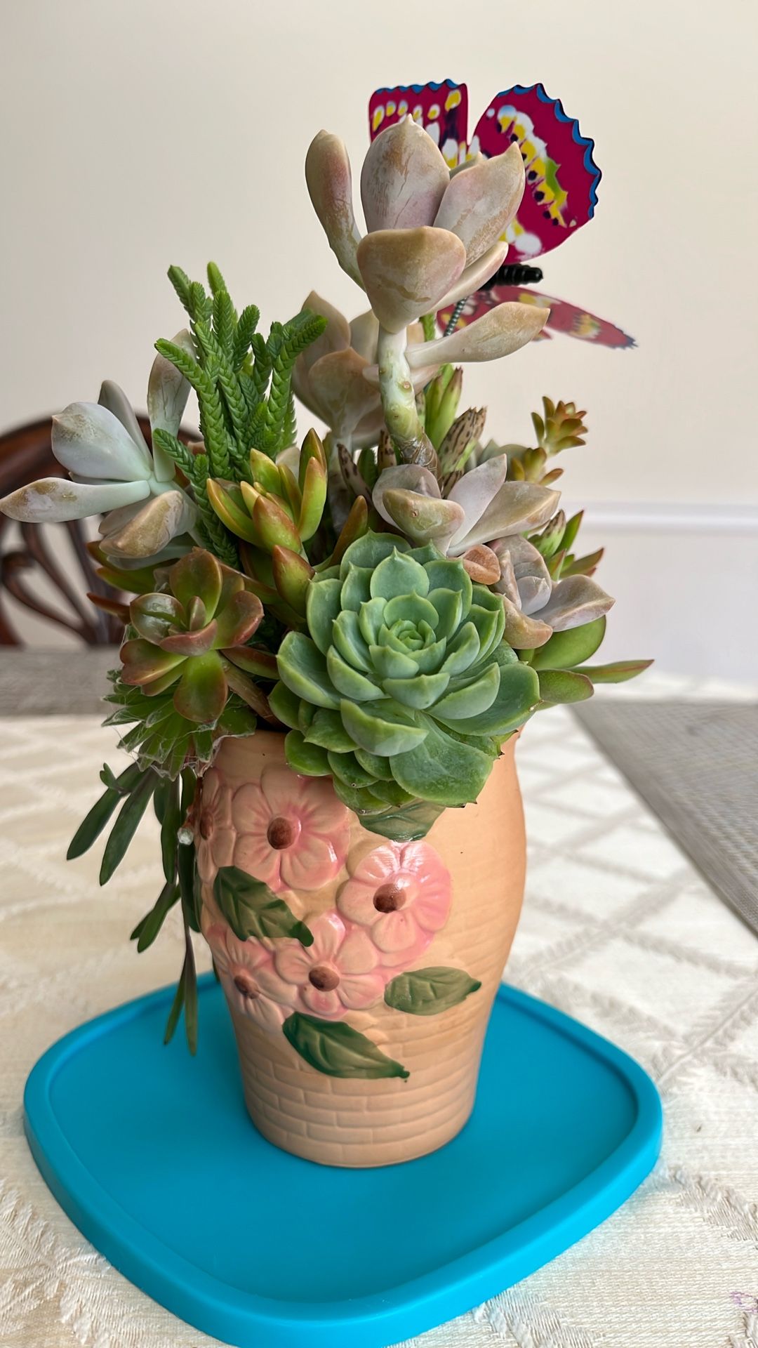 Succulent Arrangement