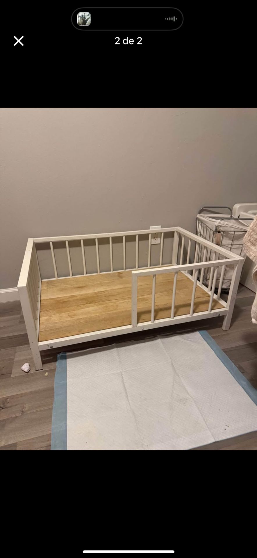Dog Bed