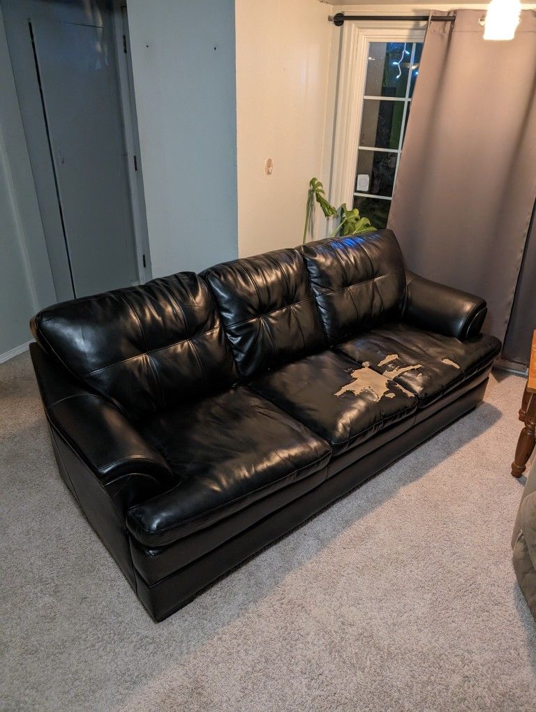 Free Couch