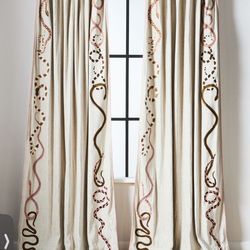 Anthropology Curtain