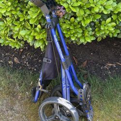 For Parts, Sun Mountain Golf Cart