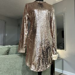 Fashion Nova Sequin Dress