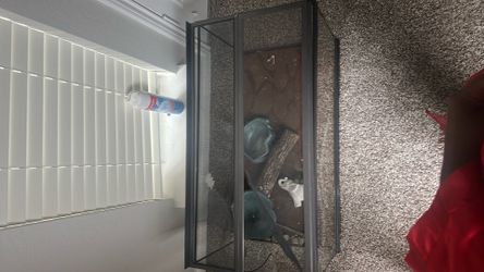 Reptile Tank