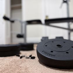 Weights 150lb + Bench
