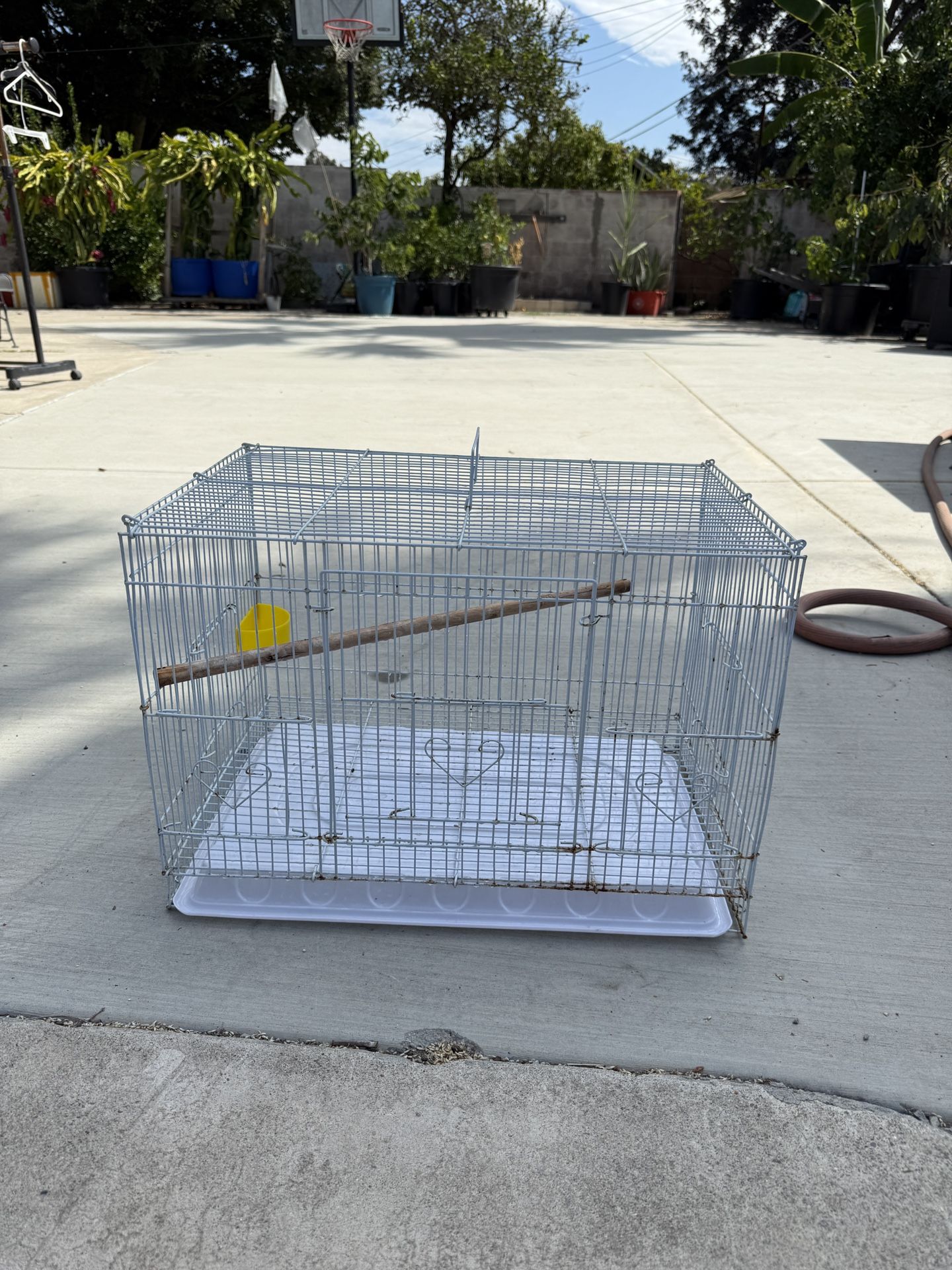 Bird Cage 