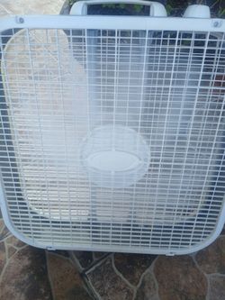 Fan