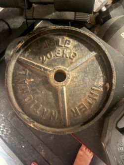 2-International vintage deep dish 45lb plates