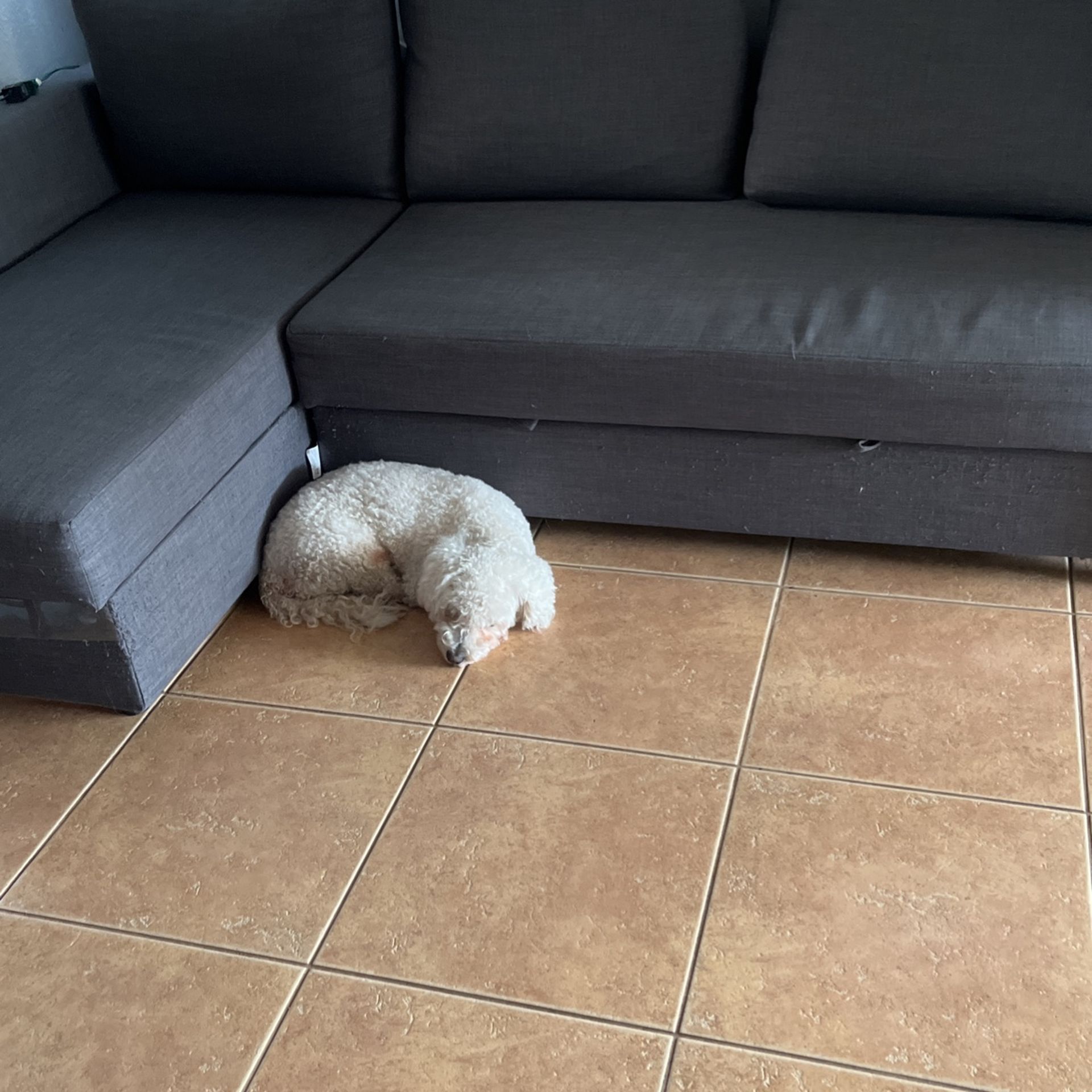 IKEA Sofa Bed