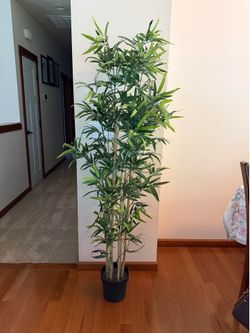 Large 5.5ft+ Faux Bamboo Artificial Potted Tree – Great Condition!