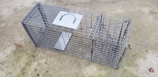 Critter cage