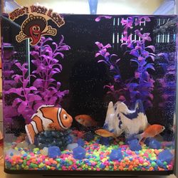 Fish Tank - 3 gallon