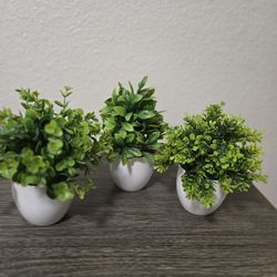 Lelee Small Faux Potted Plants