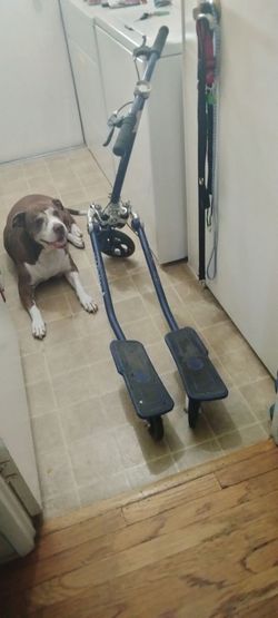 2 Ski motion trikes