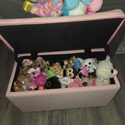 Ty Beanie Boo Collection