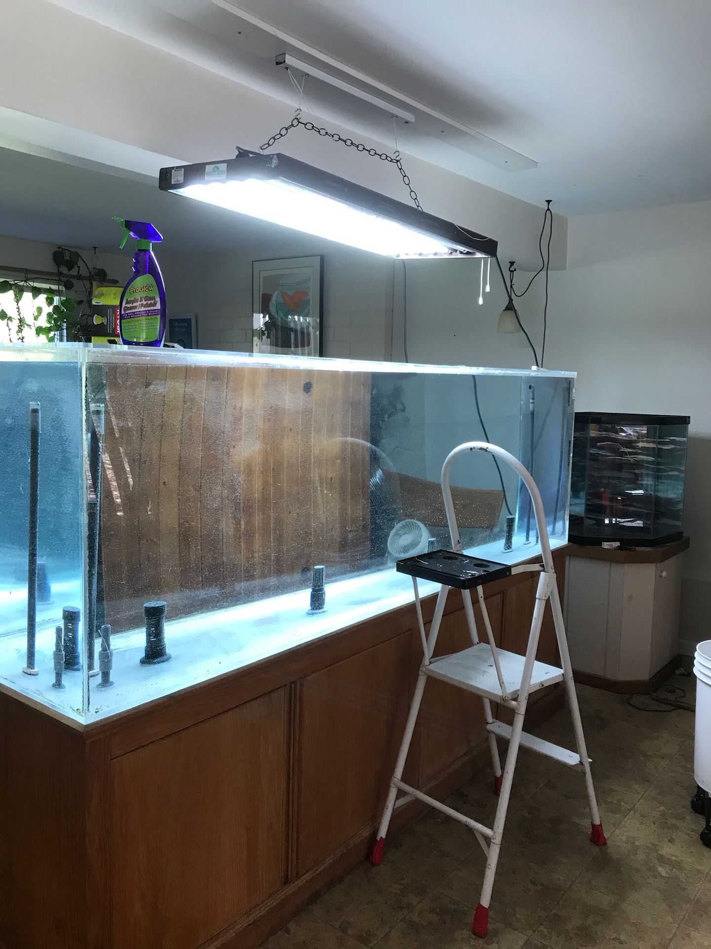 300 gallon Truvue acrylic fish tank, great shape. A monster fish tank for large fish or amazing shores of smaller fish.