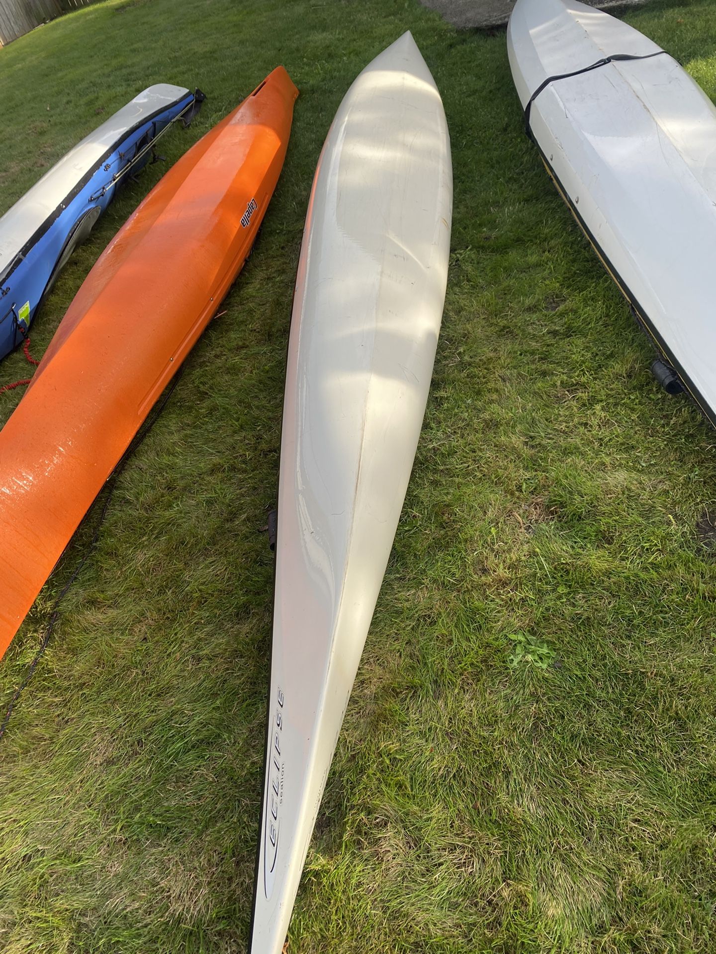 Perception Eclipse Sea Lion Fiberglass Kayak for Sale in WA