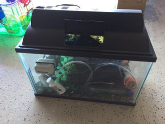 10 gallon Fish tank - complete with accessories