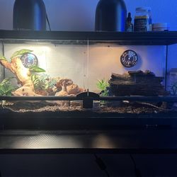 30 Gallon Tank 