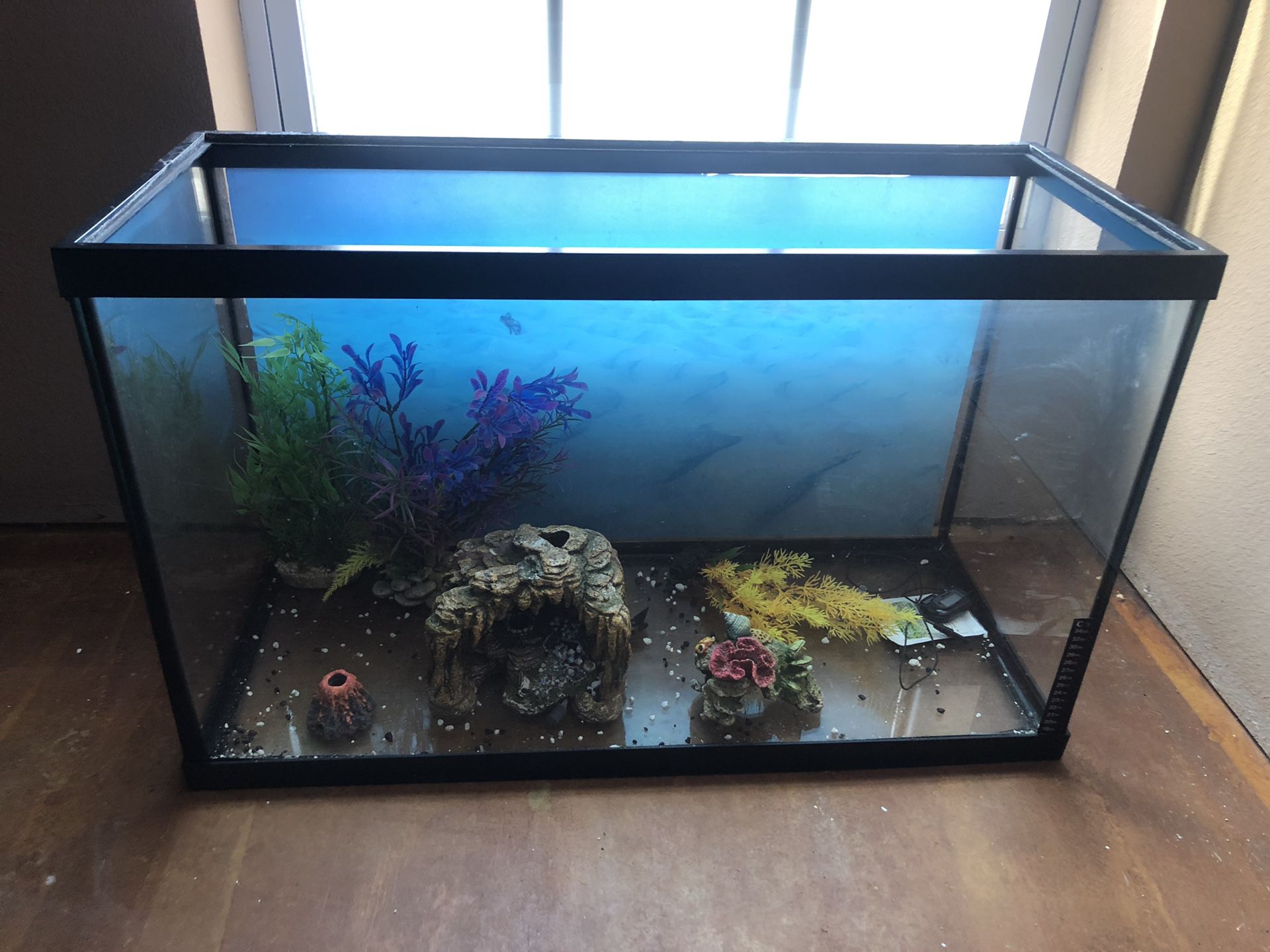 29 gallon fish tank with decorations