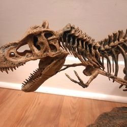 Tyrannosaurus Rex T-Rex model skeleton puzzle science learning teaching tool dinosaur fossil