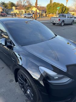 tint window film