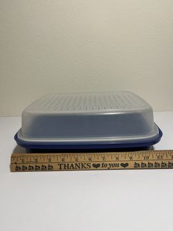 Large 12" Tupperware Double Sided Meat Marinade Storage Container