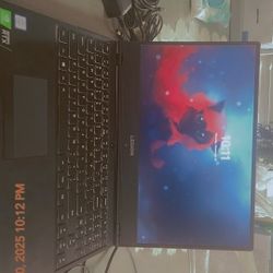 Gaming/engineering Laptop