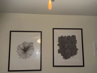 Set of 2 Framed Black and White Art Prints