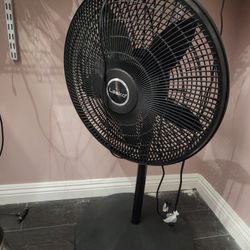 Fan 