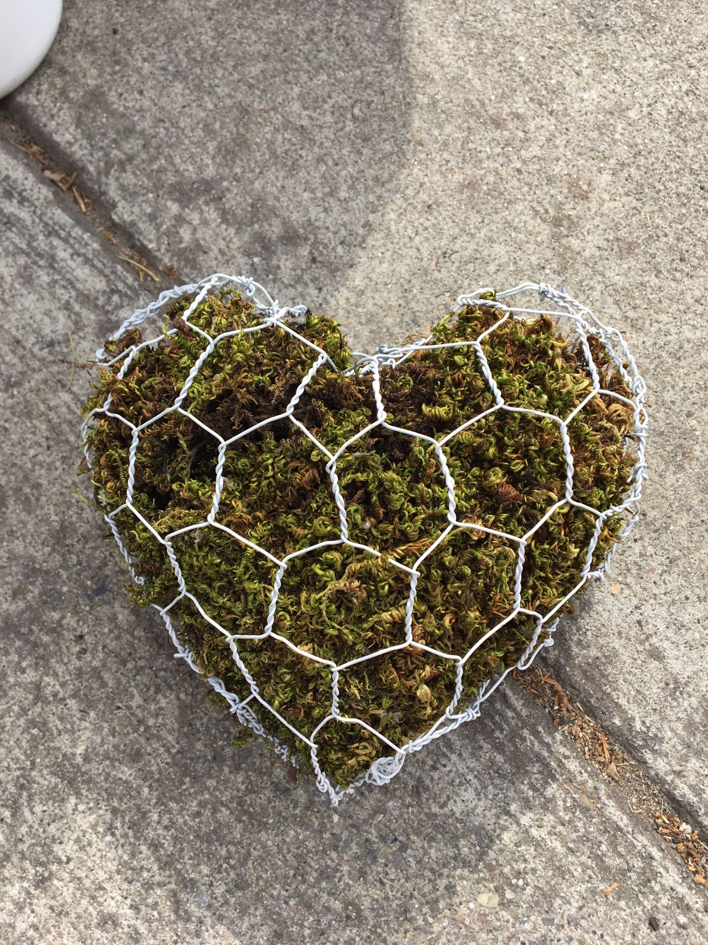 Handmade Rustic Moss heart/ Moss shape for growing succulents