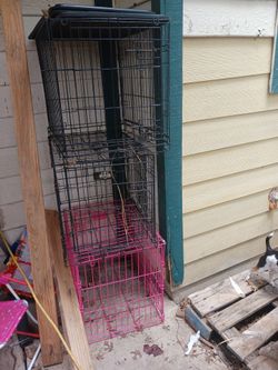 Dogs kennels