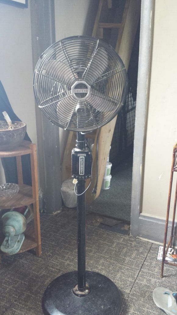 Vintage Cinni fan..... 30's to 40's