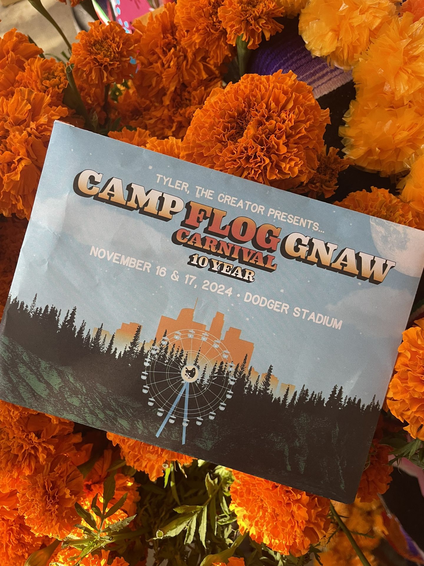 Camp Flog Gnaw 10 Year Anniversary