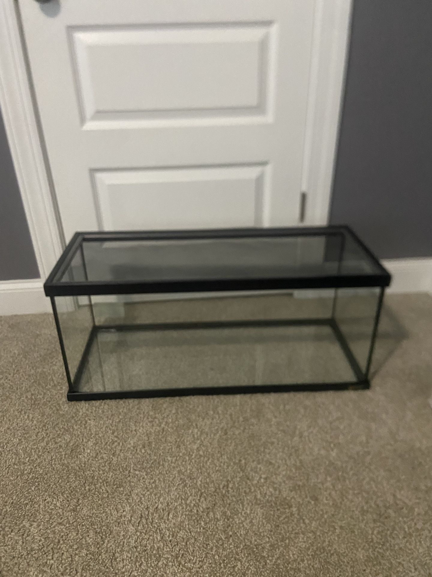 40 Gallon Tank