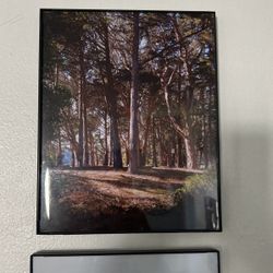 8x10 Framed print