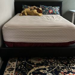 Queen Bed Frame ( No Mattress )