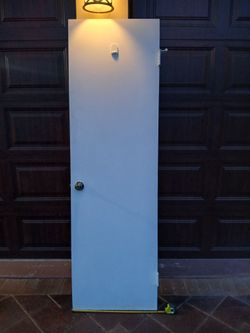 Door 79.5x24