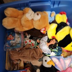 75 Plus TY Beanie Babies LOT Comes With Container 