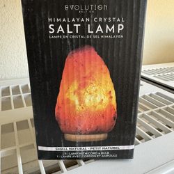 Evolution Salt Himalayan Natural Cystal Salt Lamp