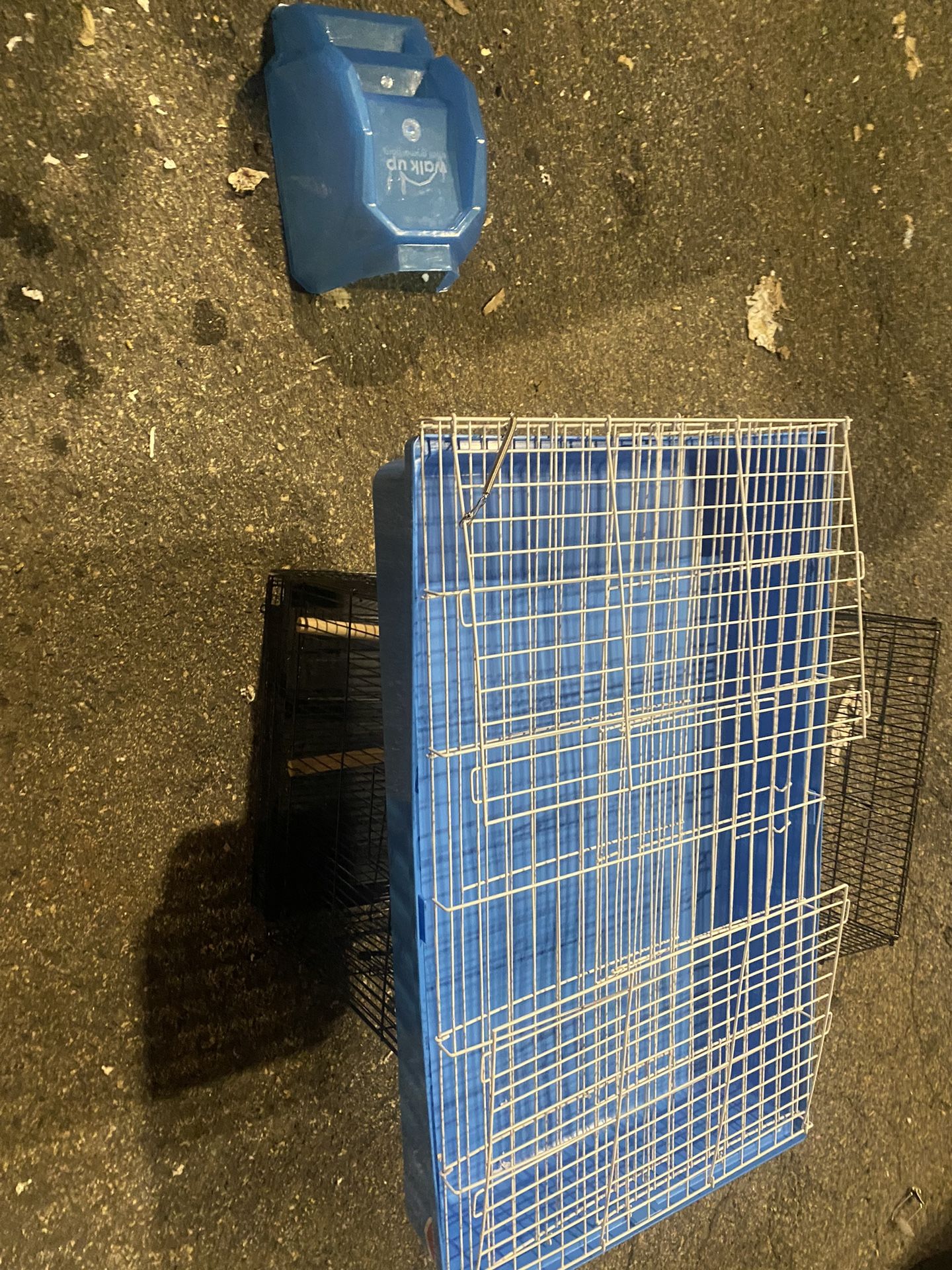 Blue White Cage
