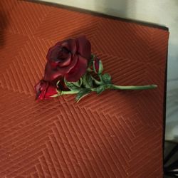 HOME INTERIOR ROSA