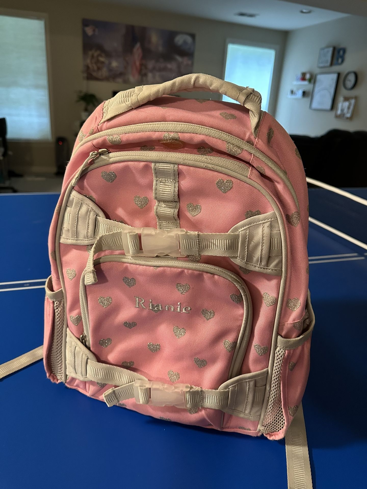 Pottery barn Bag