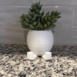 3d Printed Pot (white)