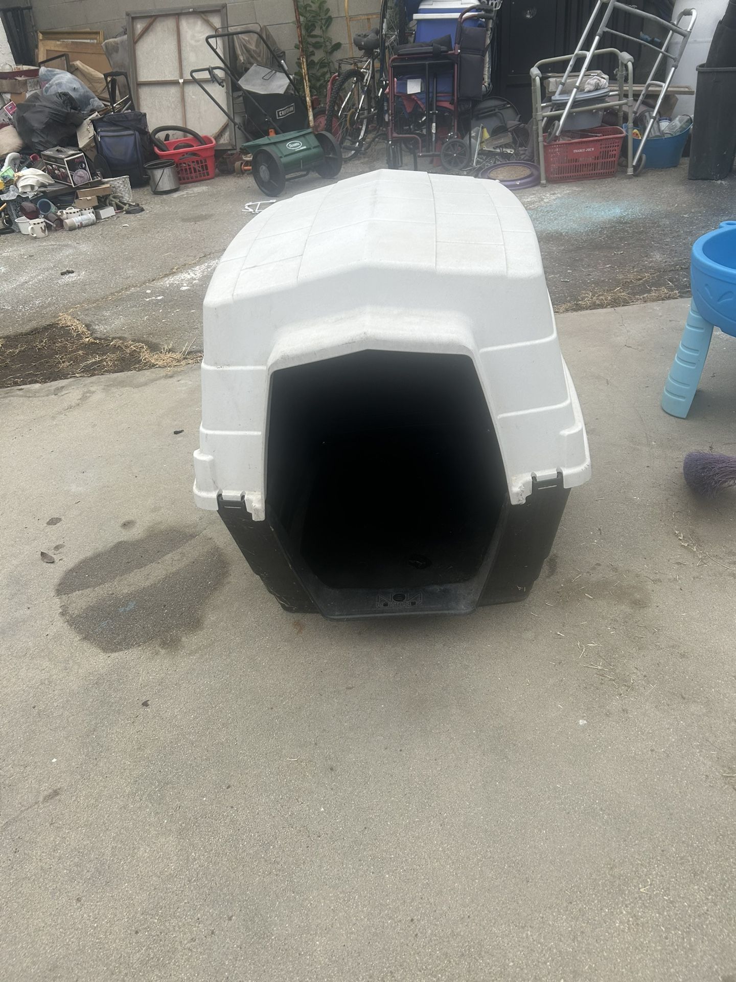 Big dog house