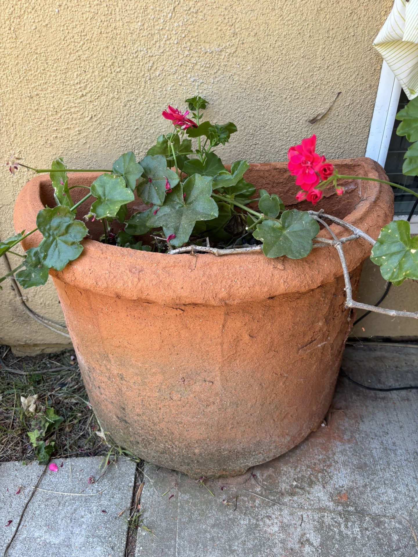 Large Pots
