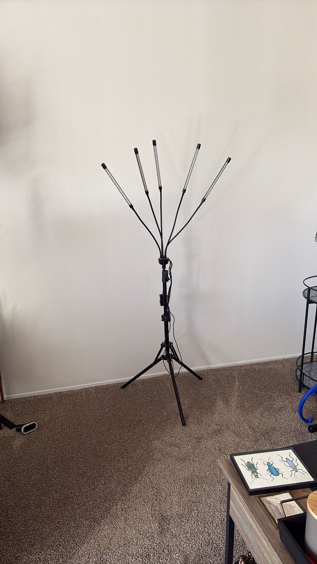 Adjustable Grow Light